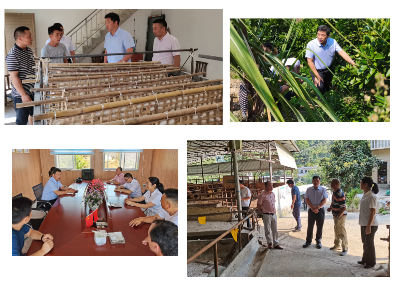 1628503645357249.png 微信圖片_20210809172029.png