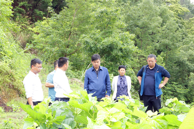 1653469303296554.jpg 微信圖片_20220525102236_副本.jpg