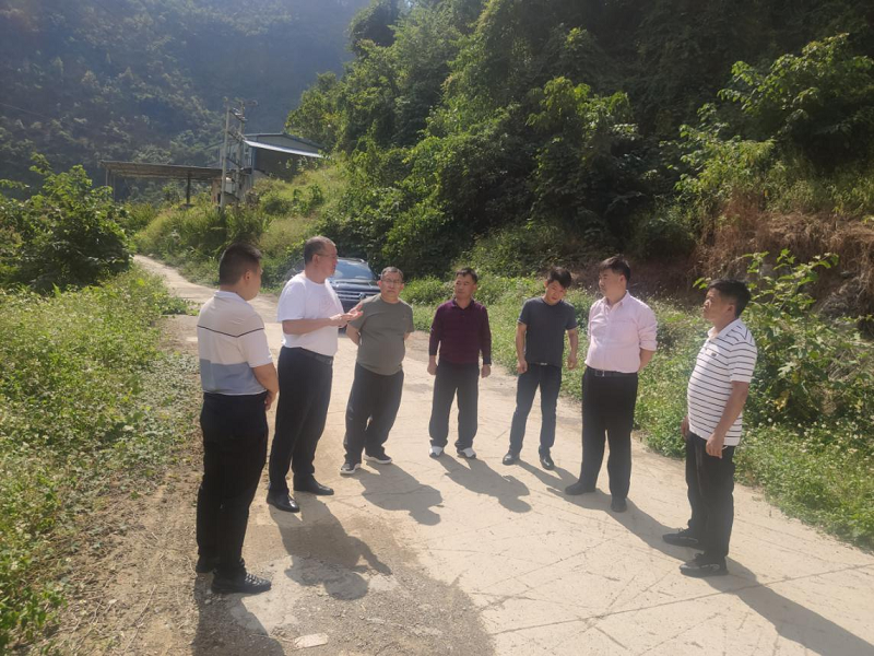 1698399102635915.png 圖片1 - 副本.png