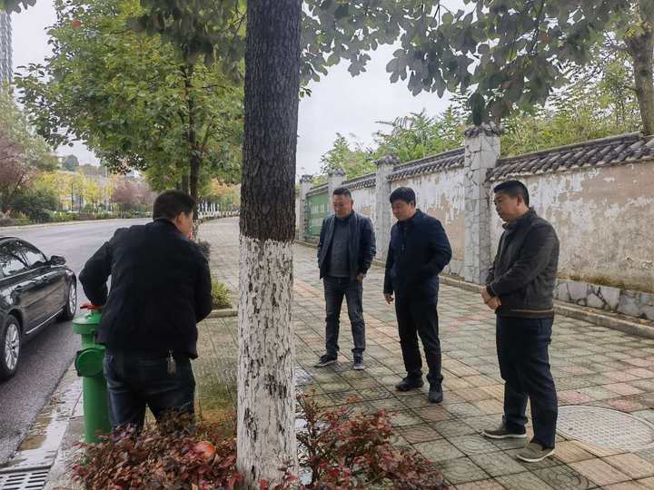 1700210361296696.jpg iQEcAqNqcGcDAQTNBQAFzQPABtoAI4QBpCE9w5ICqrber1qABaDzSoQDzwAAAYvQsUJQBM4AxRfDBwAIAAoE.jpg_720x720q90.jpg