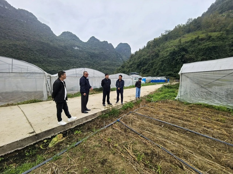 1732498734626099.jpg 微信圖片_20241125093700.jpg