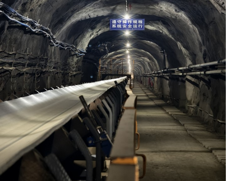 1733476322705375.png 圖片1.png