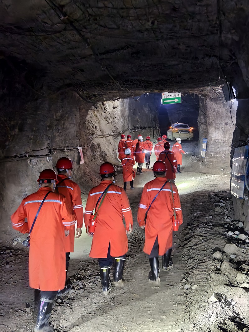 1745830926593549.jpg 9.jpg