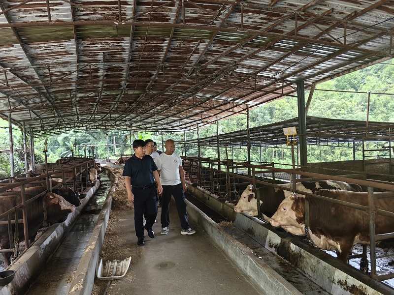 1756094210174367.jpg 微信圖片_20250822162214 - 改.jpg